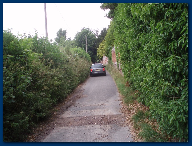 600x449 pixels (160K)